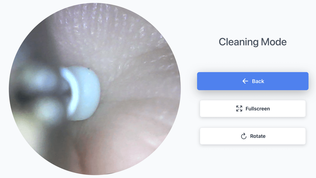 Cleaning Mode